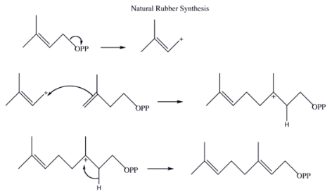 Natural and Synthetic Rubbers | Chemistry Optional Notes for UPSC