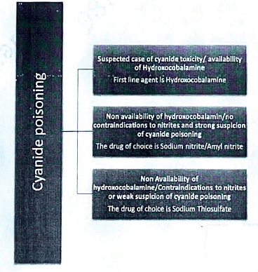 Paracetamol Poisoning, Cyanide Poisoning | Medical Science Optional Notes for UPSC
