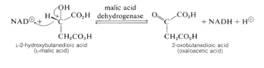 Oxidation of Alcohols: CrO3, PCC, DMP | Chemistry Optional Notes for UPSC