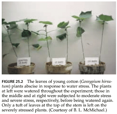 Stress Physiology | Botany Optional for UPSC