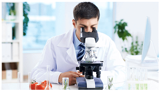 Somaclonal Variation and its Applications | Botany Optional for UPSC