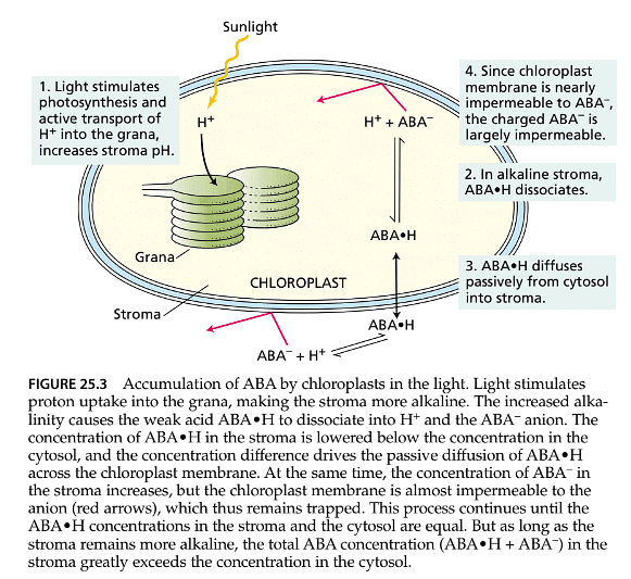 Stress Physiology | Botany Optional for UPSC