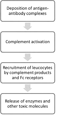 Hypersensitivity Reactions | Medical Science Optional Notes for UPSC
