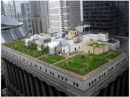 Green Roof