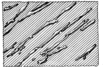 The mammalian cells shown alignhg themselves on the grooved surfam