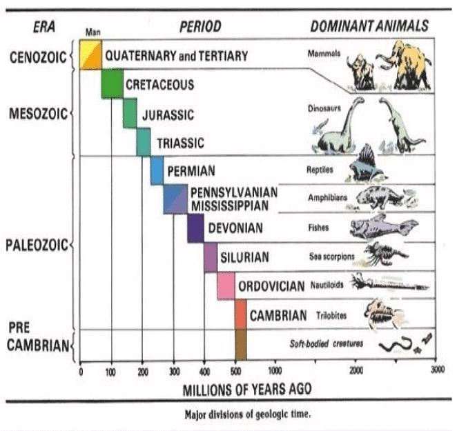 Type of Fossils and their Study Techniques | Botany Optional for UPSC