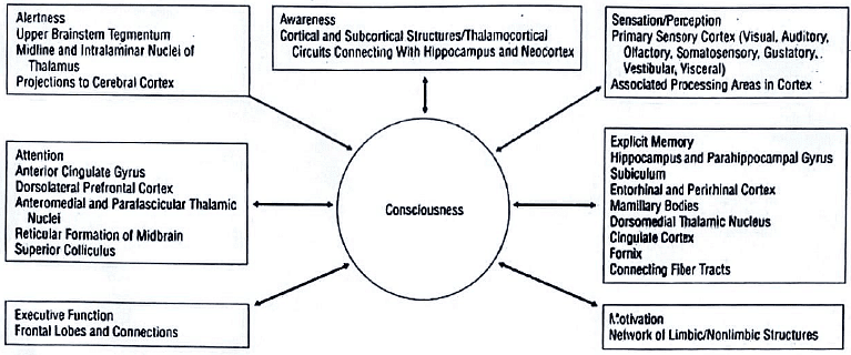 Basal Ganglia | Medical Science Optional Notes for UPSC