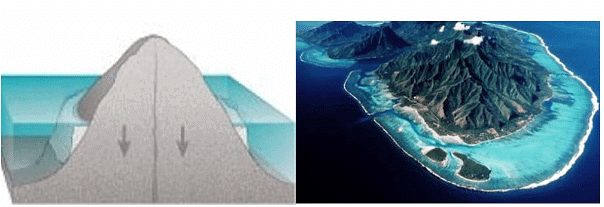 Coral Reefs & Coral Bleaching | Geography Optional for UPSC
