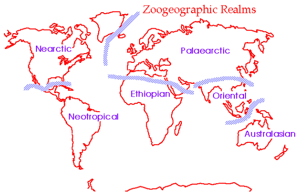 Regional Imbalances | Geography Optional for UPSC