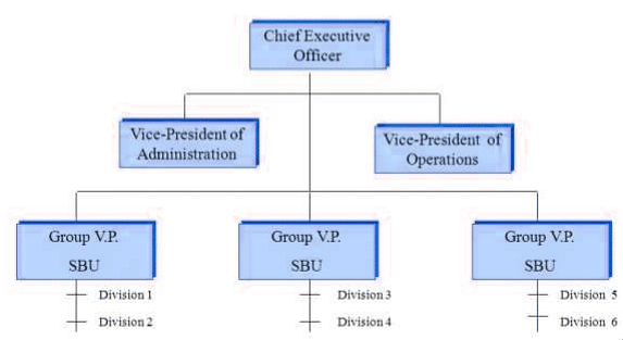 Strategy and Structure | Management Optional Notes for UPSC