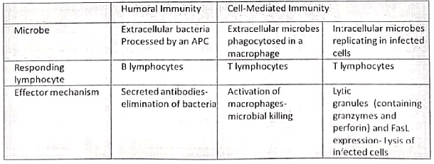 Immunology | Medical Science Optional Notes for UPSC