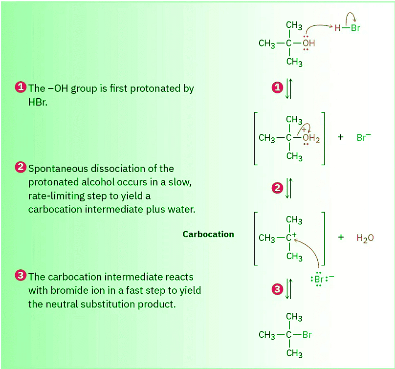 The SN1 Reaction & Characteristics of the SN1 Reaction | Chemistry Optional Notes for UPSC