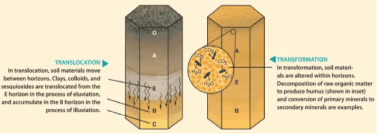 Genesis of Soils | Geography Optional for UPSC