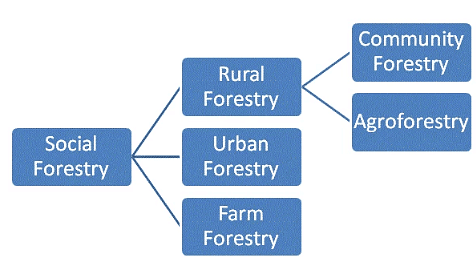 Types of Forestry Plantations | NABARD Grade A & Grade B Preparation - Bank Exams