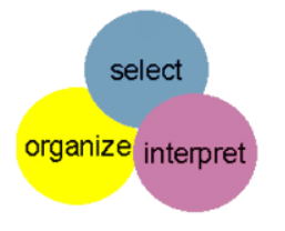 The Individual Processes: Perception | NABARD Grade A & Grade B Preparation - Bank Exams