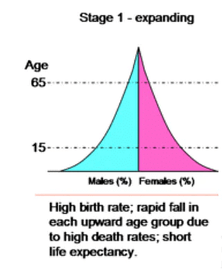 Demographic Attributes | Geography Optional for UPSC (Notes)