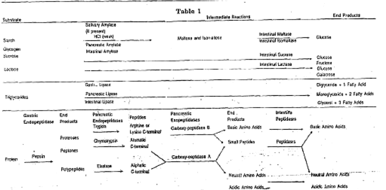 Key Points for Layman