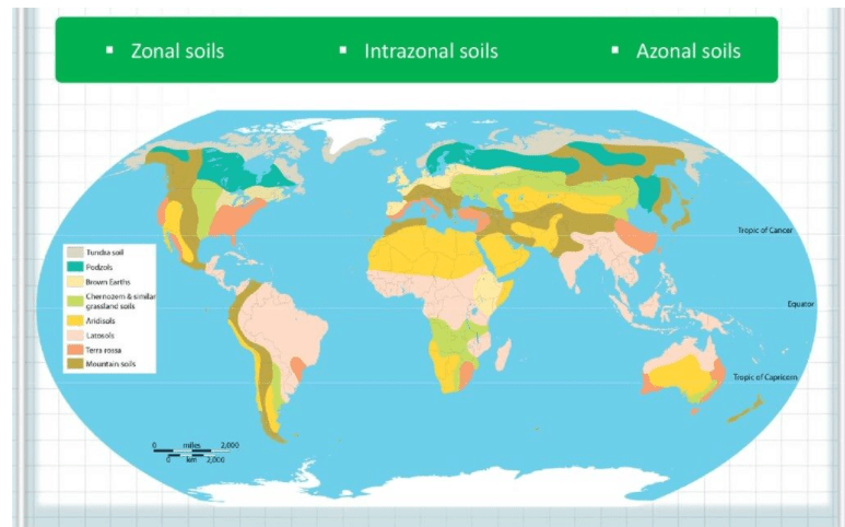 Classification and distribution of soils | Geography Optional for UPSC