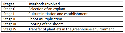 Micropropagation | Botany Optional for UPSC