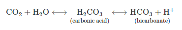 Types and Role in Transport of Oxygen and Carbon Dioxide | Zoology Optional Notes for UPSC