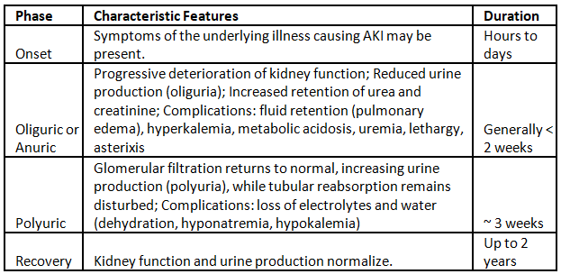 Acute Kidney Injury | Medical Science Optional Notes for UPSC