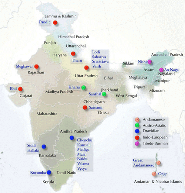 Major Tribes of India