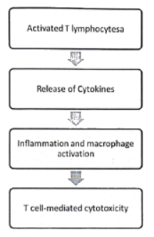 Immunology | Medical Science Optional Notes for UPSC