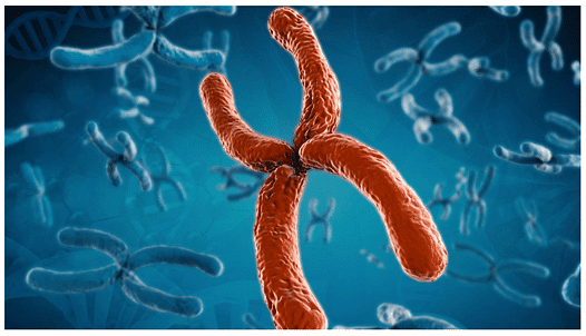 Somaclonal Variation and its Applications | Botany Optional for UPSC