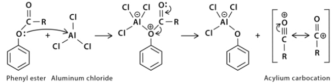 Fries Rearrangement - Chemistry Optional Notes for UPSC PDF Download