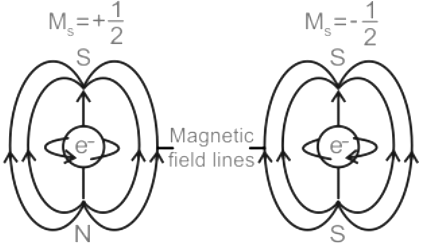 Stern-Gerlach Experiment & Electron Spin | Physics Optional Notes for UPSC
