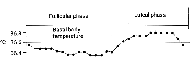 Ovulation | Medical Science Optional Notes for UPSC