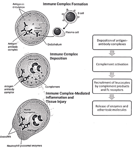 Immunology | Medical Science Optional Notes for UPSC