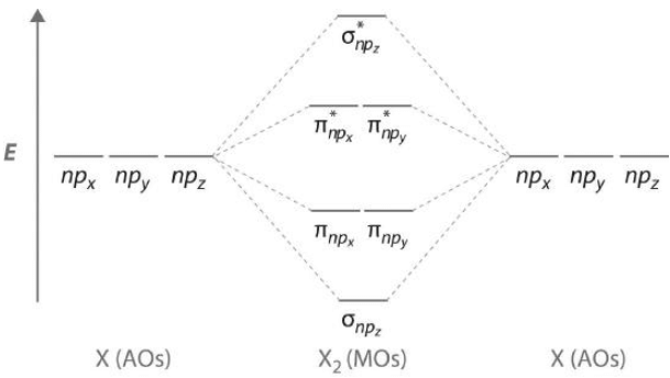 Molecular Orbitals Formed from ns and np Atomic Orbitals