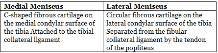 Knee Joint | Medical Science Optional Notes for UPSC