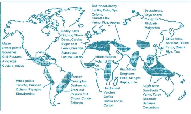 Major Gene Pool Centres | Geography Optional for UPSC