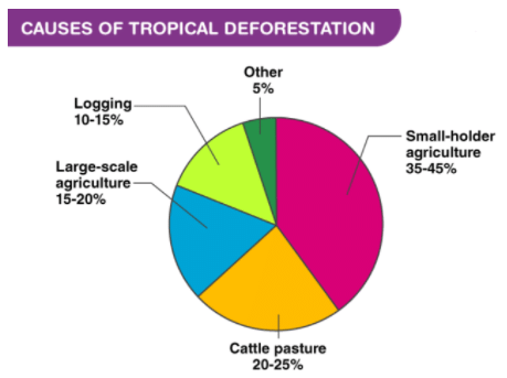 Problems of deforestation and conservation measures | Geography Optional for UPSC