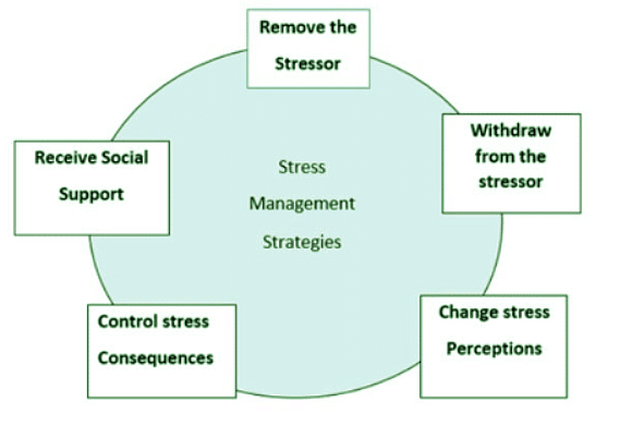 The Individual Processes: Work Stress and Stress Management | NABARD Grade A & Grade B Preparation - Bank Exams