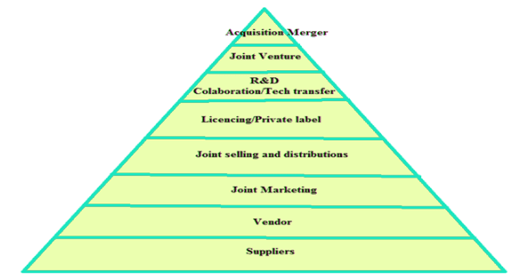 Strategic Alliances | Management Optional Notes for UPSC