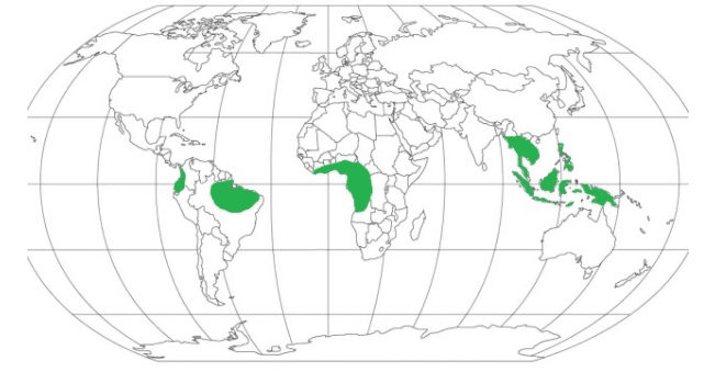 Weather & Climate | Geography Optional for UPSC