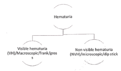 Renal Stones | Medical Science Optional Notes for UPSC