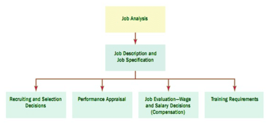 Job Analysis | Commerce & Accountancy Optional Notes for UPSC