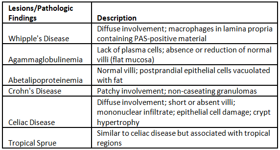 Nonalcoholic Fatty Liver Diseases and Nonalcoholic Steatohepatitis (NAFLD/NASH) | Medical Science Optional Notes for UPSC