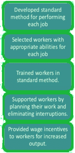 Classical, Neoclassical and Contingency Approaches to Organizational Design | NABARD Grade A & Grade B Preparation - Bank Exams
