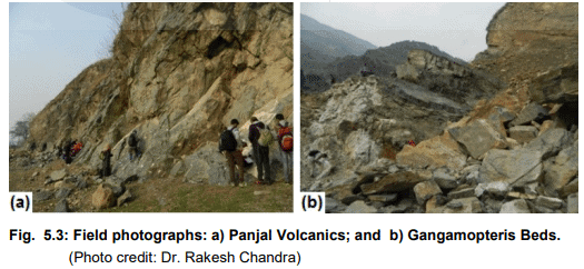 Palaeozoic of India | Geology Optional for UPSC