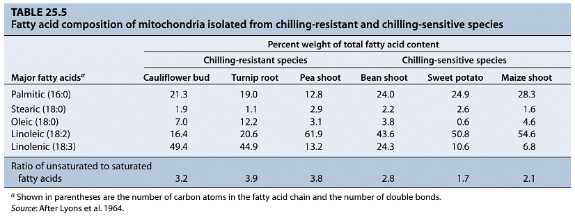 Stress Physiology | Botany Optional for UPSC