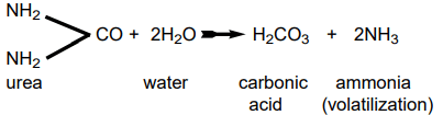 What Happens to Nitrogen in Soils? - 2 | Agriculture Optional for UPSC