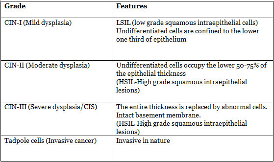 Carcinoma Cervix | Medical Science Optional Notes for UPSC