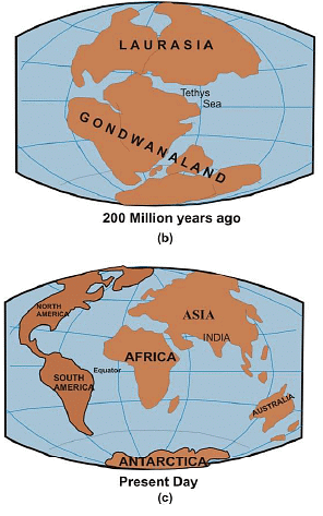 Continental Drift | Geology Optional for UPSC