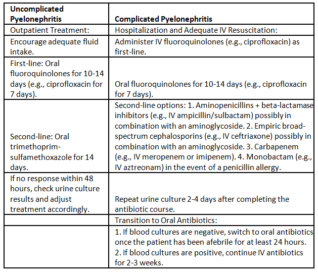 Acute pyelonephritis | Medical Science Optional Notes for UPSC