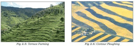 Soil Erosion, Degradation, and Conservation | Geography Optional for UPSC (Notes)